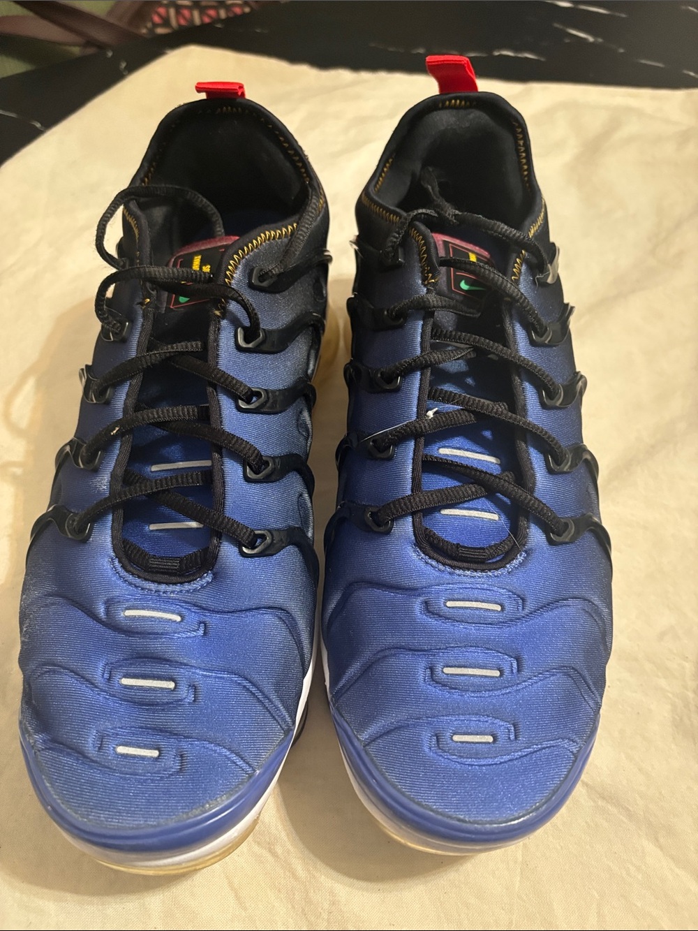 Nike Air VaporMax Plus in multicolor color-way size 8.5